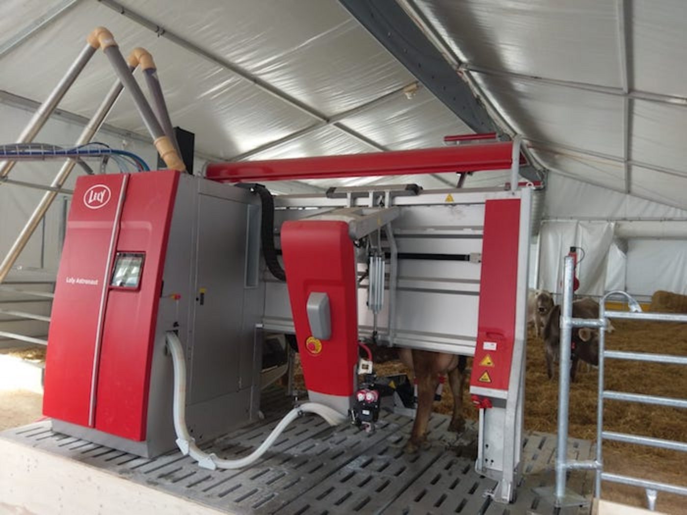 Nebst dem Roboter sind weitere Lely Produkte vor Ort: Nautilus Milchtank, Beleuchtungssystem, Managementprogramm.