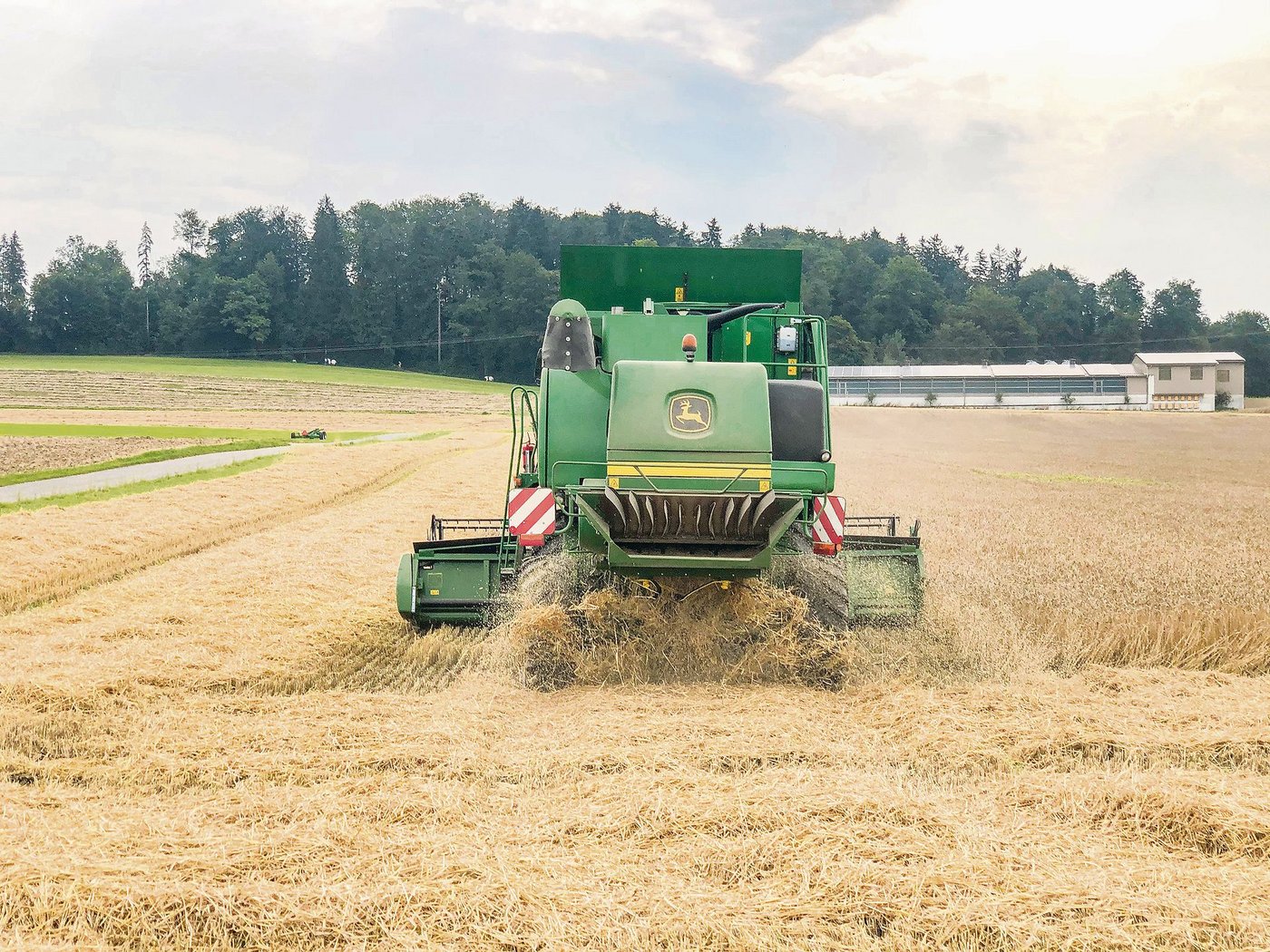 Beim Dreschen wird kaum Staub aufgewirbelt. Das sei keine optimale Voraussetzung für die diesjährige Ernte, erklärt Marcel Villiger. (Bild Rahel Iten)