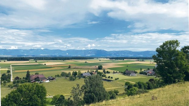 Das Schweizer Mittelland ist stark landwirtschaftlich geprägt. Hier wurde bezüglich ökologischer Infrastruktur ein grosses Defizit festgestellt.