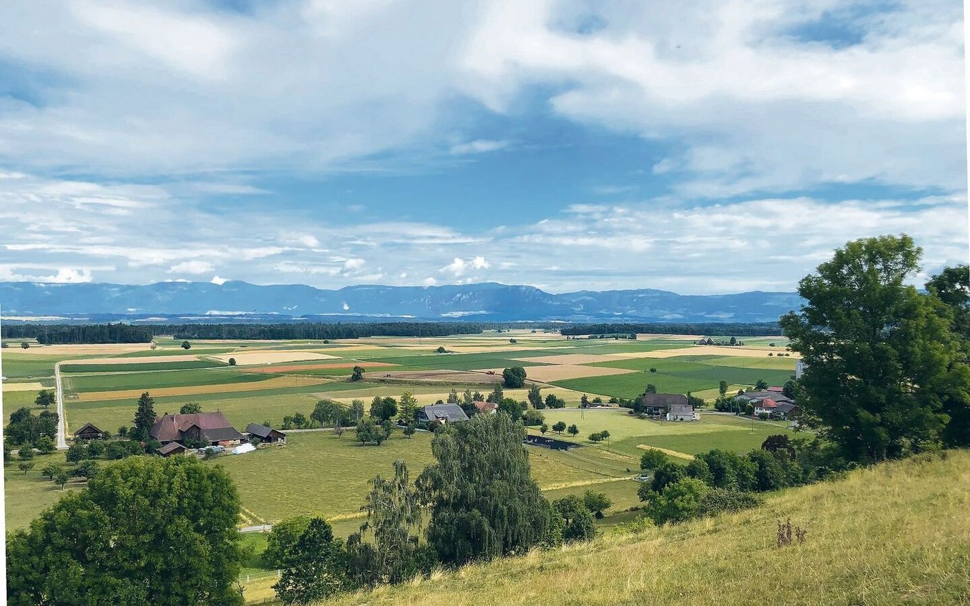 Das Schweizer Mittelland ist stark landwirtschaftlich geprägt. Hier wurde bezüglich ökologischer Infrastruktur ein grosses Defizit festgestellt.