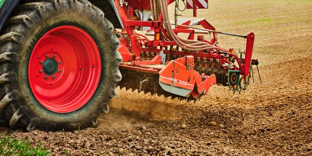 Bei Raps und Sonnenblumen ist die Zuteilung des Schweizerischen Getreideproduzentenverbandes zwingend zu berücksichtigen. (Bild Verein Schweizer Rapsöl)