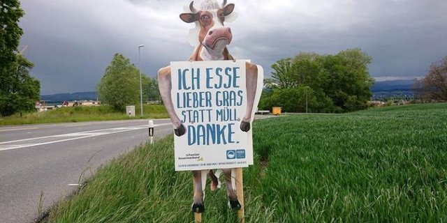 Kuh-Plakat gegen Littering