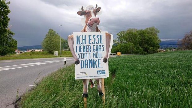 Kuh-Plakat gegen Littering