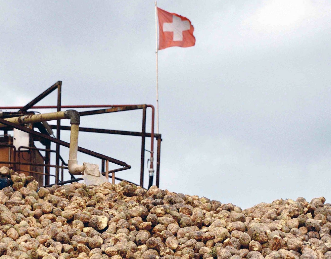 «Schweizer Zucker, weil aus der Schweiz». Damit werben die Zuckerfabriken. Tatsächlich ist der Schweizer Bonus für Zucker gering. (Bild hja)