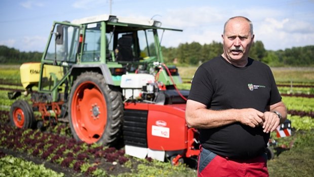 Thomas Wyssa ist seit 30 Jahren Gemüsebauer. (Bild SRF)