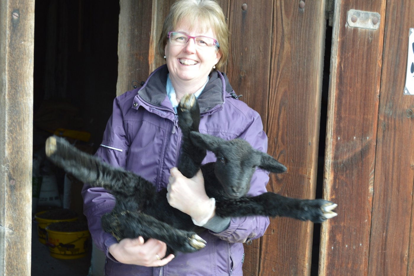 Frau Jacqueline König hat das Lämmlein, welches die Mutter verloren hat, ins Herz geschlossen.