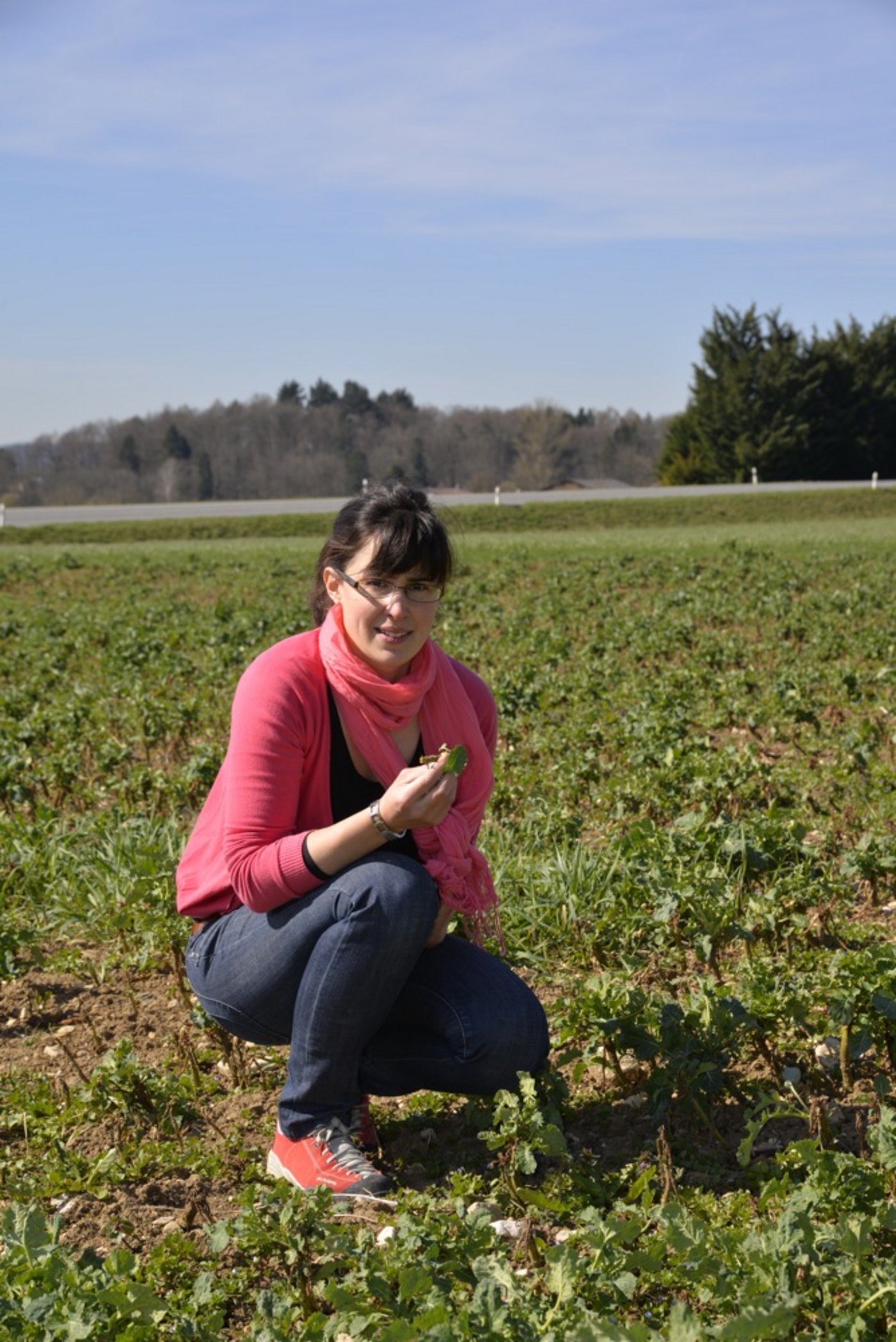 Martina Ruh hatte gehofft, dass nach den Erdfloh-Schäden die Sistierung der Neonicotinoide überdacht wird. (Bild: Katharina Scheuner)