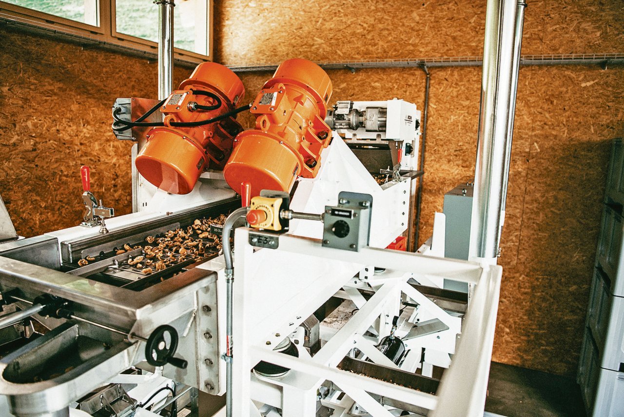 In Malans GR steht seit 2019 die professionelle Knack- und Sortiermaschine der Genossenschaft Swiss Nuss. Diese bietet als Dienstleistung das Lohnknacken für Produzentinnen und Produzenten von Baumnüssen an. 