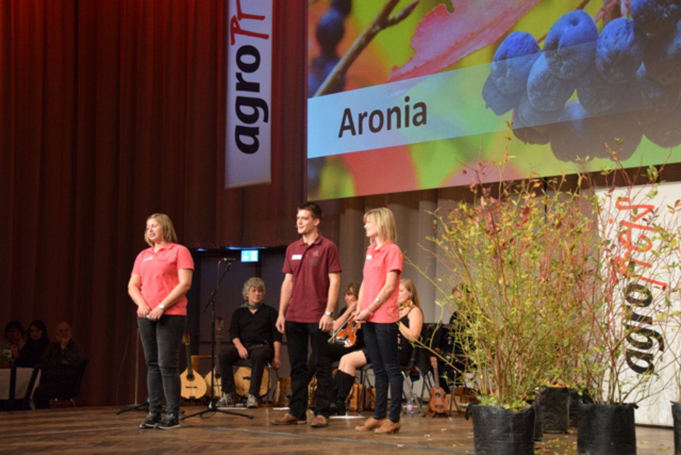 Die Gebrüder Räss sowie deren Freunde erklären von ihren Schweizer Wildbeeren. 