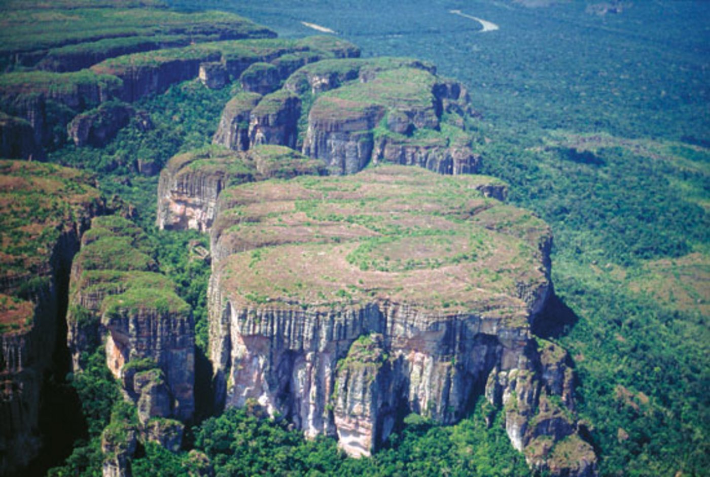 Tafelberg im Parque Nacional Natural Chiribiquete. (Bild Carlos Castaño Uribe)