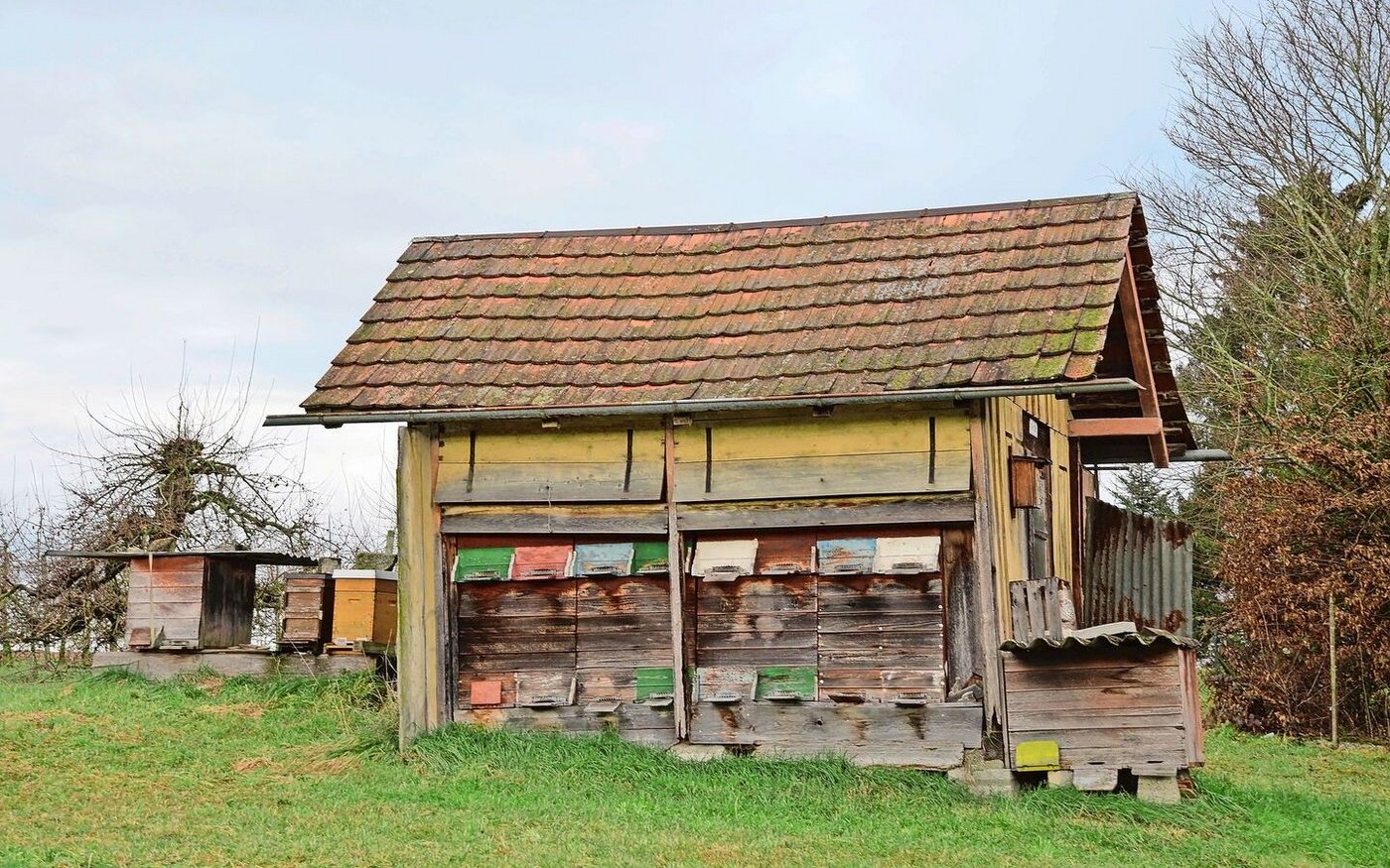 Die Imkerei ist ein weiterer Betriebszweig des Paares.