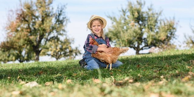 Beim Event Emma auf Hoftour, organisiert von Studierenden der HAFL in Zollikofen, konnten Jung und Alt die Landwirtschaft erleben. (Bild HAFL)