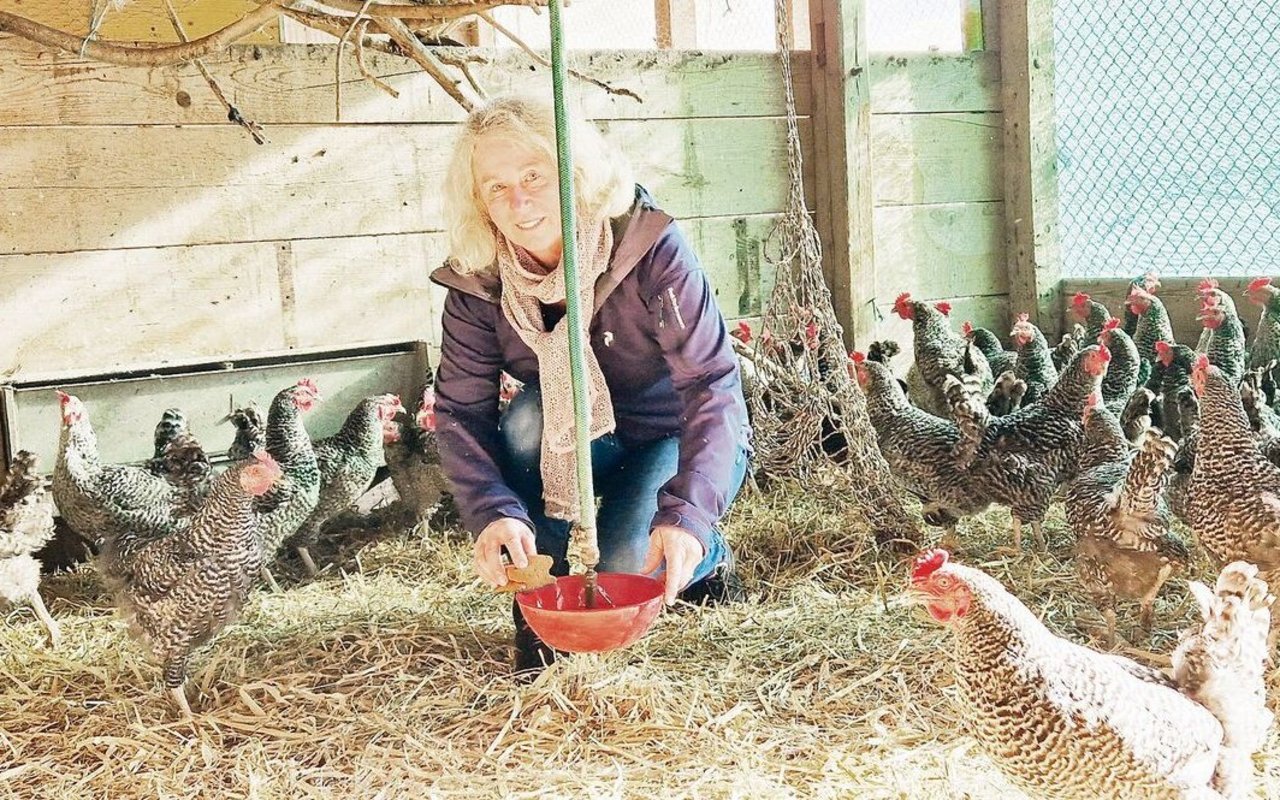 170 Legehennen bevölkern den Emmerhof. Doris Stamm hält ihre Hühner länger als normalerweise üblich.