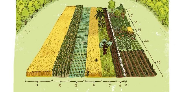 Der Weltacker bietet Besuchern die Möglichkeit, sich direkt auf dem Feld mit der globalen Landwirtschaftssituation auseinanderzusetzen. (Bild Nuglar Gärten/UANB)