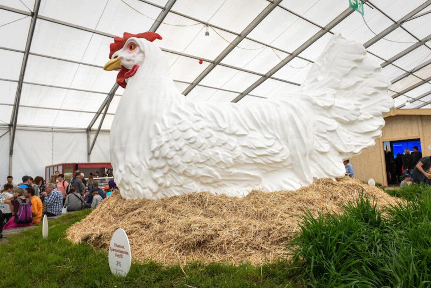 Ein Blickfang an der BEA-Sonderschau "Das Schweizer Ei ist das Grösste" war ein fast vier Meter hohes 3D-Huhn beim Eintritt ins Grüne Zentrum. (Bild zVg)