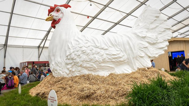Ein Blickfang an der BEA-Sonderschau "Das Schweizer Ei ist das Grösste" war ein fast vier Meter hohes 3D-Huhn beim Eintritt ins Grüne Zentrum. (Bild zVg)