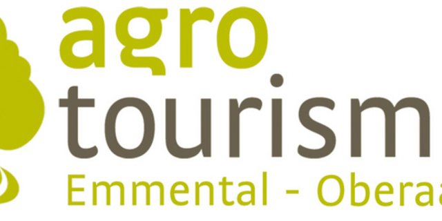 Das Logo des neuen Vereins. (Bild zVg)