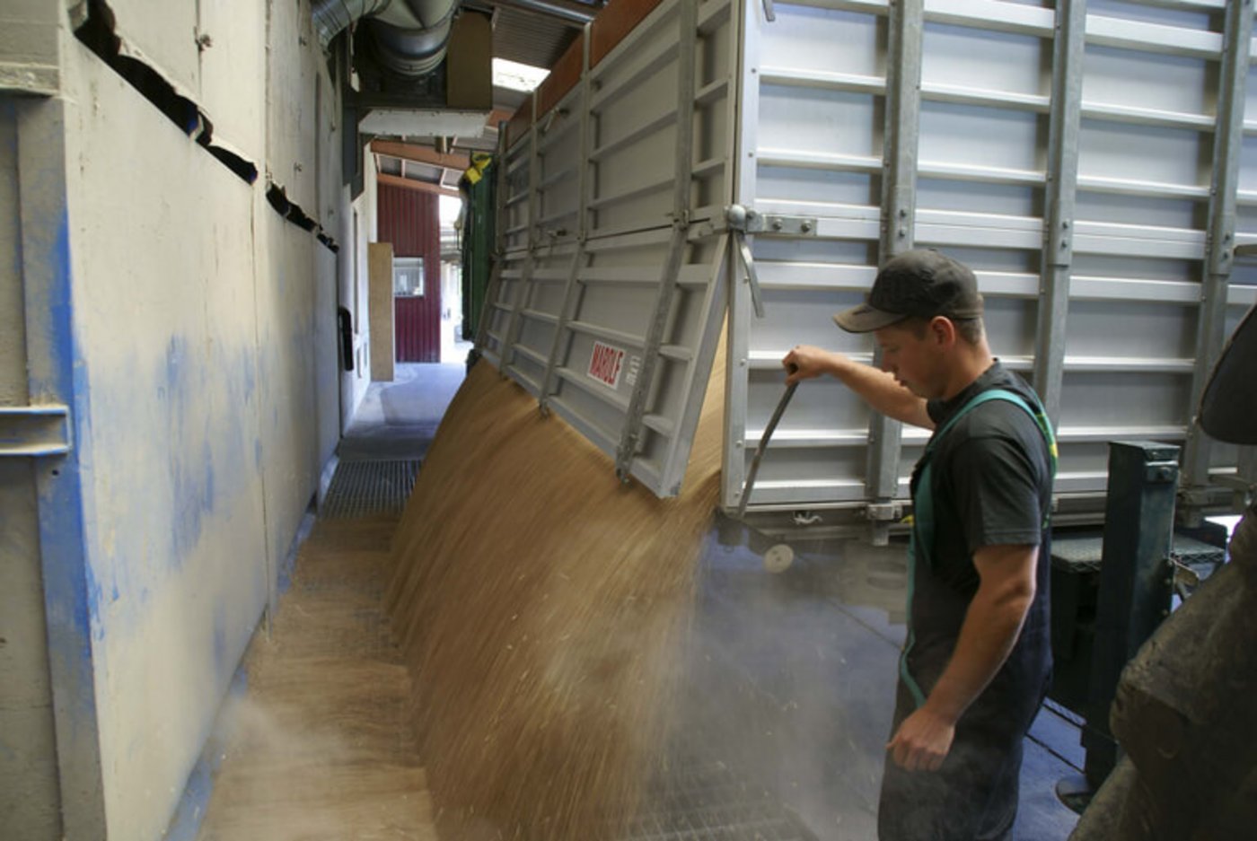 Noch sind die Getreidelager gut gefüllt. Getreideproduzenten tun gut daran, für die Ernte nächstes Jahr Futtergetreide oder Raps anzubauen. (Bild lid)
