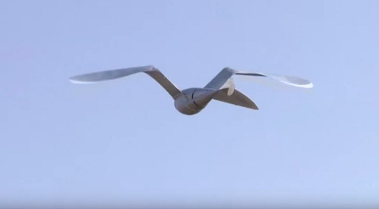 Die Forschung an Robotervögeln kann Fortschritte in der Medizin ermöglichen. (Symbolbild Youtube messelive.tv)