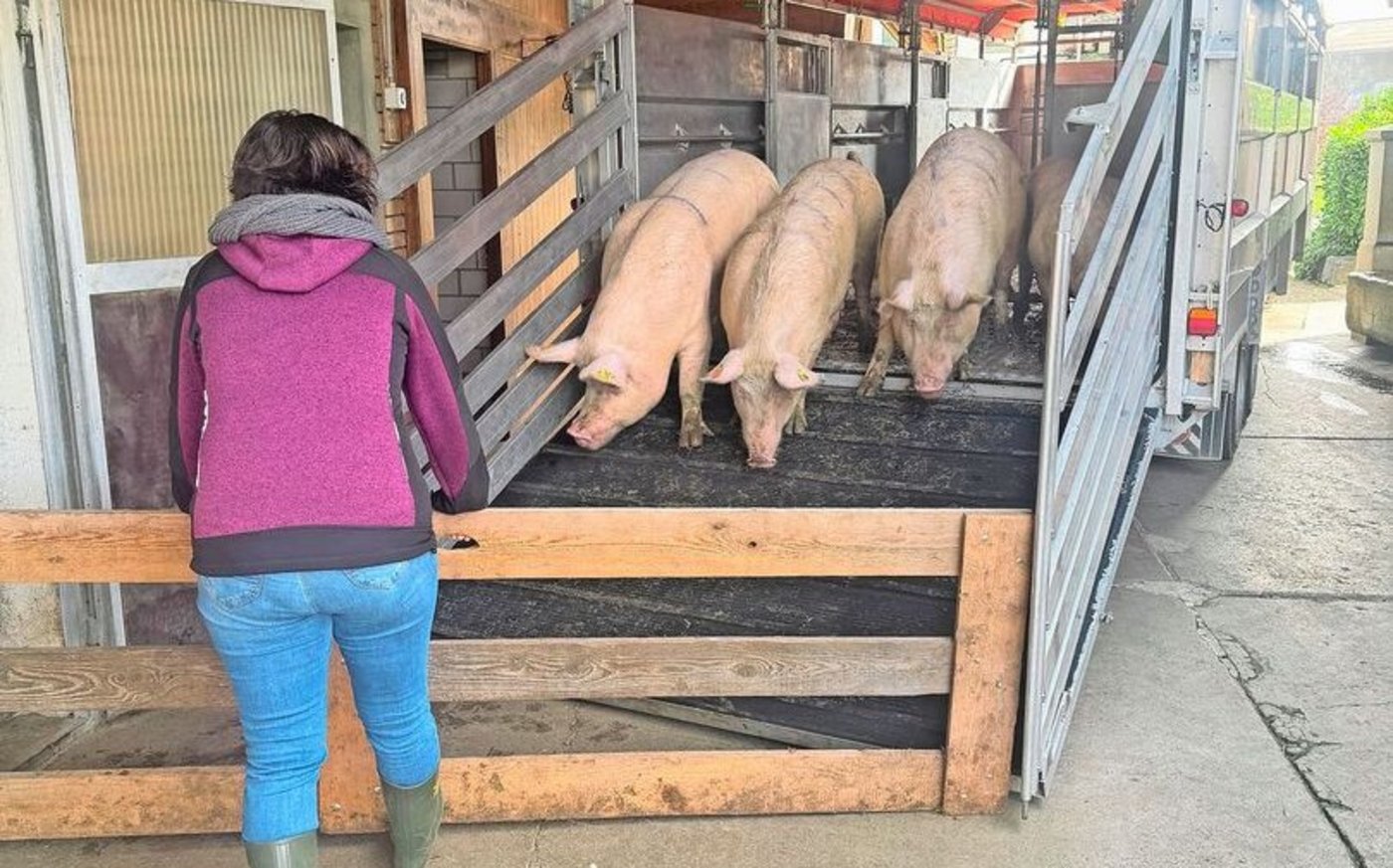 Überall dort, wo gerade eine oder auch zwei Hände gebraucht werden, packt Renate Wyss an.  