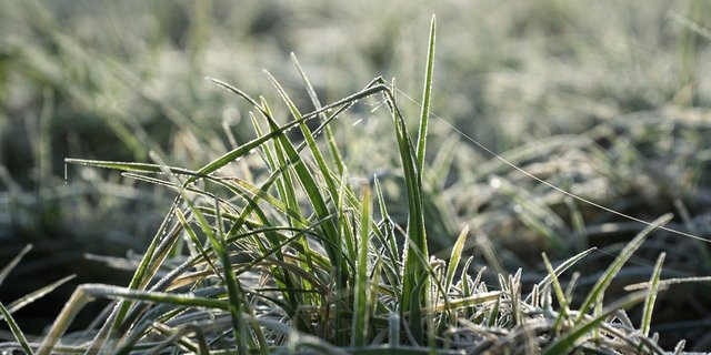 Die Sistierung verzögert die Umsetzung der AP 22+ massiv. Die ersten Bestimmungen sollen demnach erst 2025 in Kraft treten. (Bild florianjuengermann  / Pixabay)