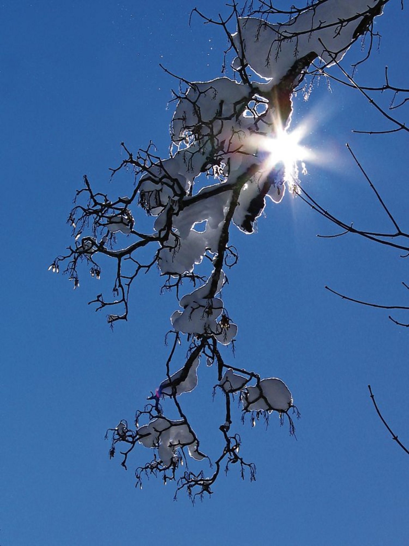 Und plötzlich ist das Licht weg. Wählt ein Familienmitglied den Freitod, bewältigen die Hinterbliebenen Trauer meist schwerer als nach einem anderen Tod. (Bild: Agnes Schneider Wermelinger)