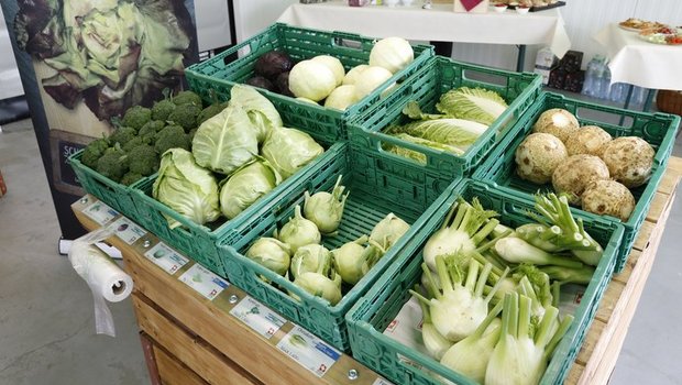 Ist das Gemüse unverpackt, so halten es viele Konsumenten für wertiger, wie die Umfrage zeigt. Sie bevorzugen es auch, weil die Menge so besser den Bedürfnissen angepasst werden kann. (Bild Jonas Ingold)
