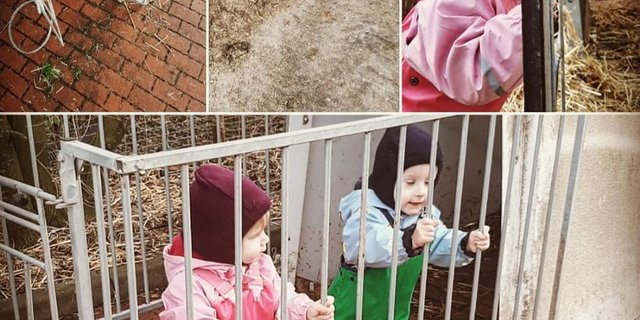 "Lasst euch nicht ärgern", sagt Mama und Bäuerin Marina Wilken zu ihren Kindern. (Bild Milchviehbetrieb Wilken)