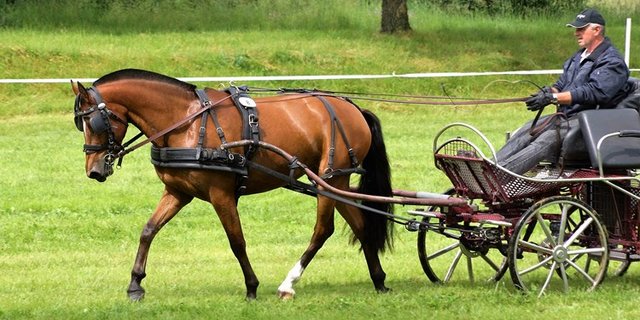 Feldtest können nach wie vor nicht stattfinden. (Bild Ruth Aerni)