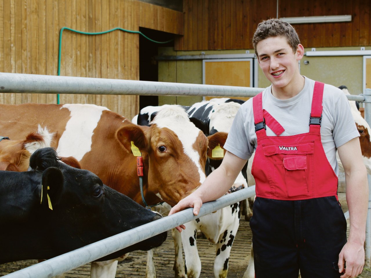 Xavier Pythoud wollte unbedingt mit Kühen arbeiten. Sie sind seine Leidenschaft. Auf dem Lehrbetrieb im solothurnischen Beinwil melkt er und lernt dabei Deutsch.(Bild Martine Romanens)