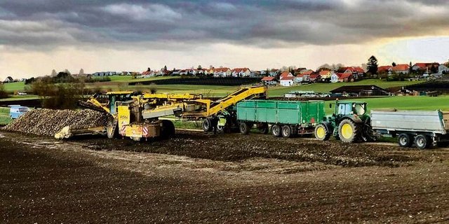 Die Mitglieder des Rübenrings entscheiden an der ordentlichen GV über eine allfällige Änderung der Abfuhrorganisation.