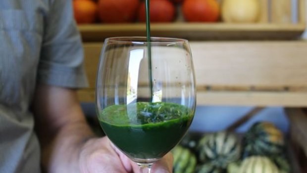 Der stark grüne Saft vom Dinkelgras schmeckt frisch, leicht bitter und ist mit einer zarten Süsse versehen. (Bilder nb)