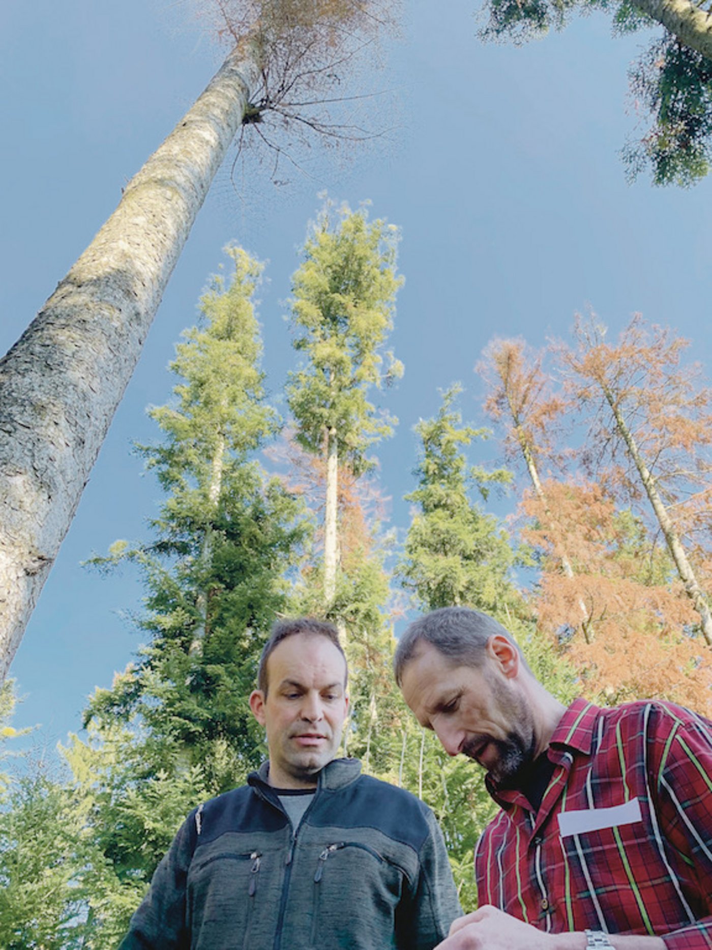 Ruedi Gerber, Präsident Wald Luzern (r.) und Christian Siegrist, Geschäftsführer von Wald Seetal Habsburg, besichtigen aktuelle Schäden wegen Borkenkäfern. (Bild Josef Scherer)