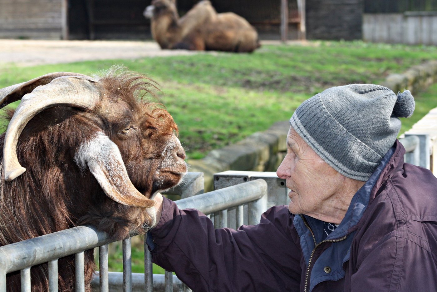 Alter ist nicht unbedingt eine Frage des biologischen Alters, sondern der Lebenseinstellung. (Bild Margit Völtz / pixelio.de)