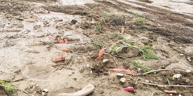 Der Klimawandel zeigte sich 2021 mit einem anderen Wetterextrem. Was uns an diesen Punkt gebracht hat, bedroht auch unsere Ernährungssicherheit: kurzfristiges Denken. 