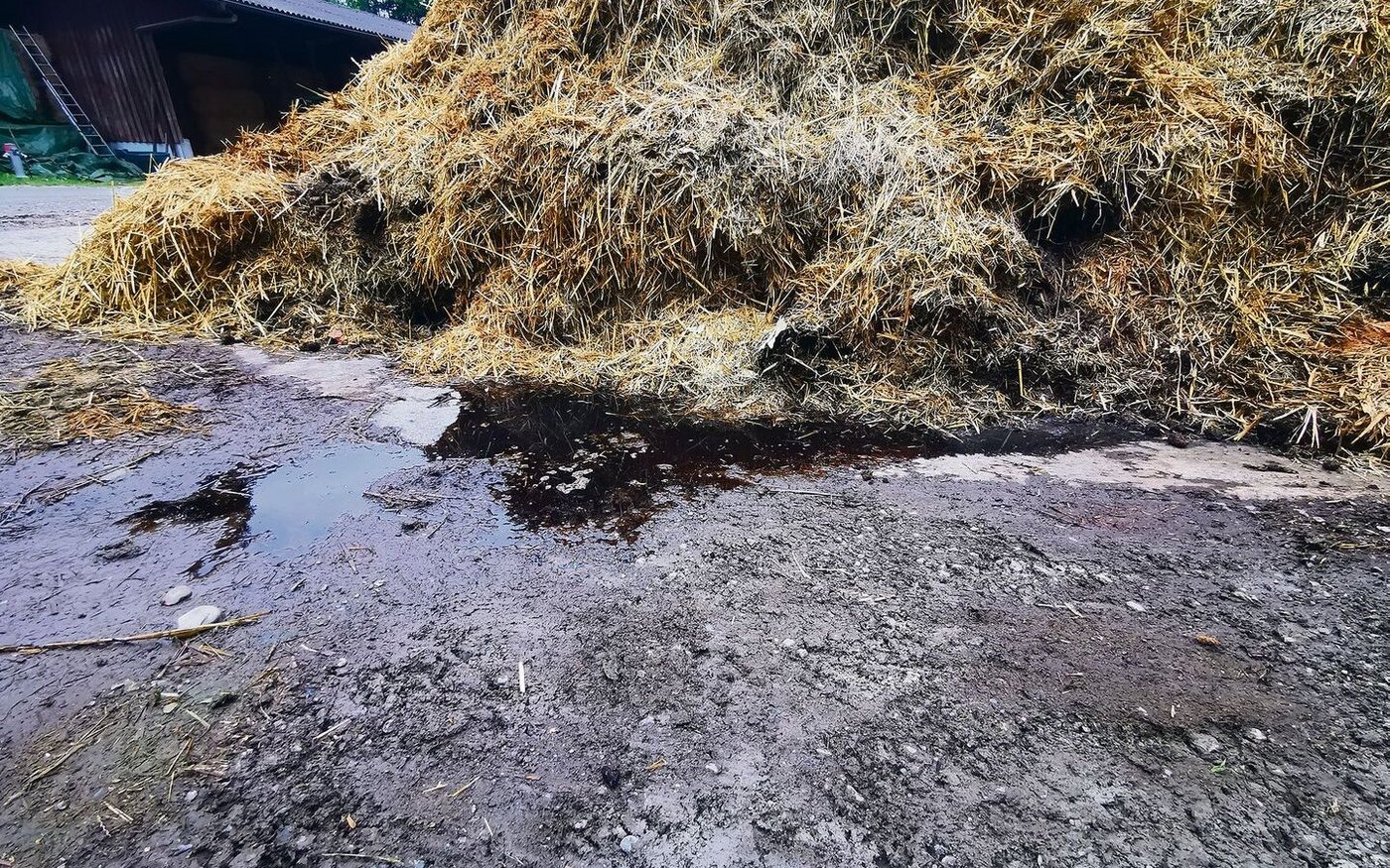 Vorher: Ein solches Bild wird künftig beanstandet. Güllesaft darf nicht neben das Mistlager auslaufen und gar im Boden oder der Kanalisation versickern können.