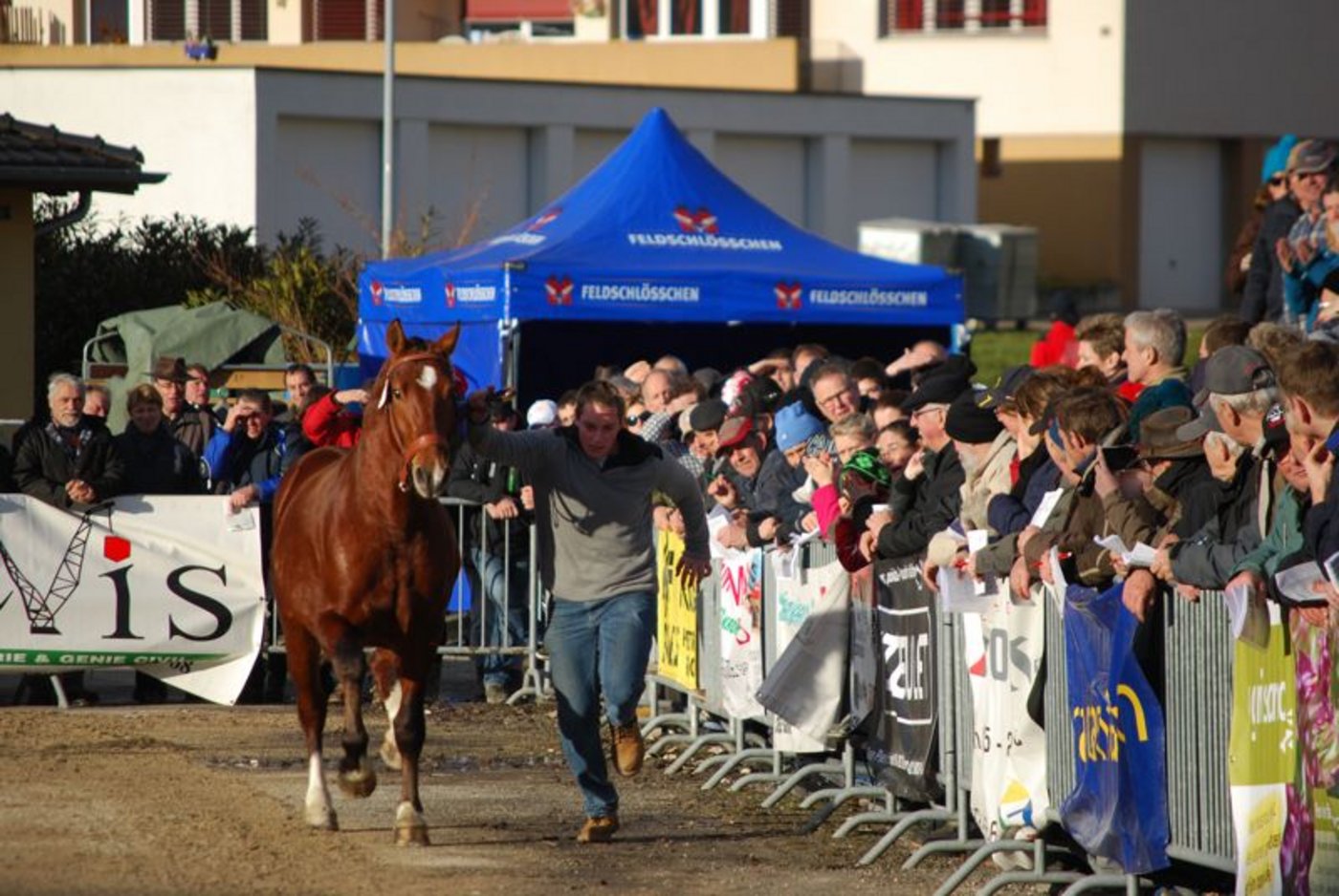 Aufgrund der milden Temperaturen fanden zahlreiche Besucher den Weg nach Glovelier.