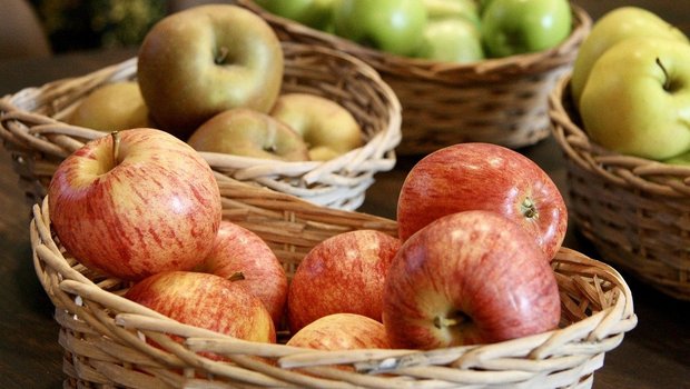 Pro Jahr werden in der Schweiz rund 140'000 Tonnen Äpfel geerntet. Das meiste davon ist Gala. Diese Sorte ist gut lagerfähig und dank ihrem milden und süssen Geschmack auch bei Kindern beliebt. (Bild Pixabay)