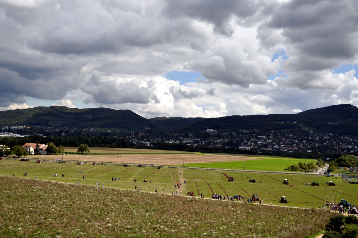 Am Sonntag starteten 14 Plauschwettpflüger (rechts) und 14 Profiwettpflüger am Traktorenfest in Aesch.