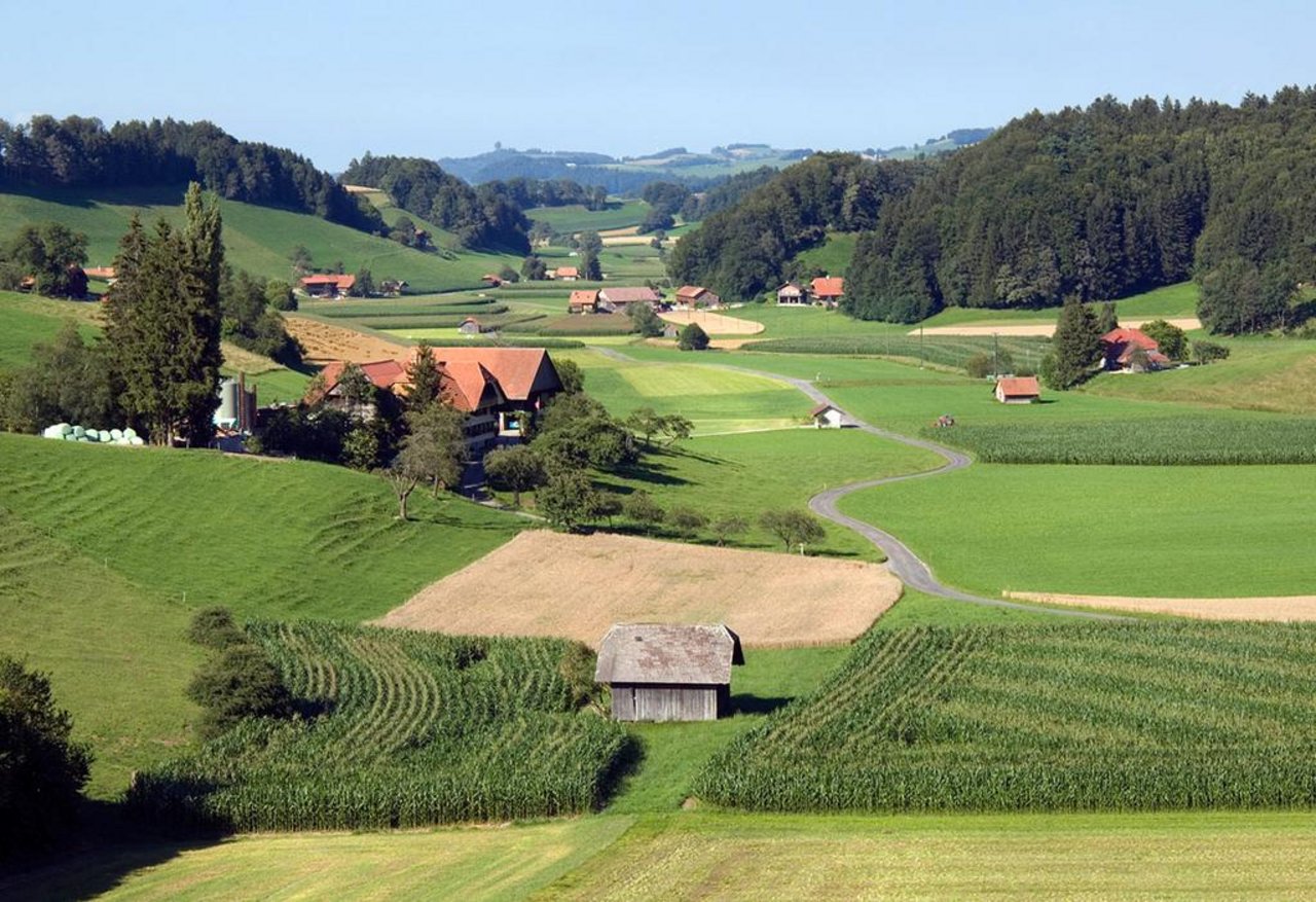 Die Anliegen der Initianten seien durchaus wichtig, jedoch gingen die Forderungen laut SBV zu weit. (Bild SBV)