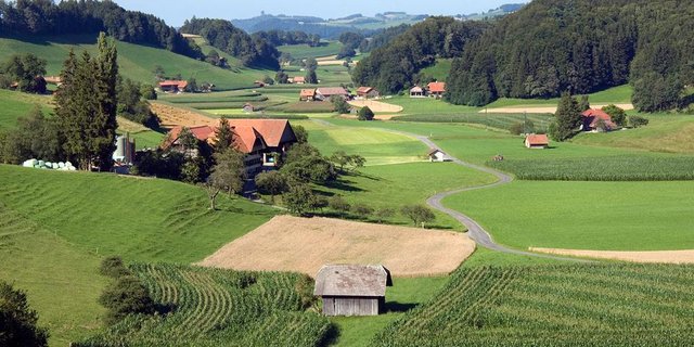 Die Anliegen der Initianten seien durchaus wichtig, jedoch gingen die Forderungen laut SBV zu weit. (Bild SBV)