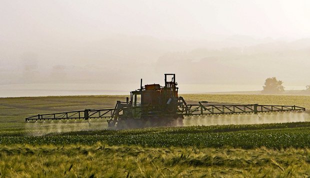 Ein Entscheid, ob eine Lenkungsabgabe auf Pflanzenschutzmitteln als Instrument aufgenommen werden soll, fällt frühestens bei der Erarbeitung der Agrarpolitik 2022 bis 2025. (Bild Pixabay)