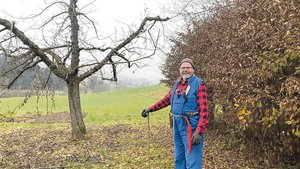 Paul Aeschimann vor einem fertig geschnittenen Apfelbaum der Sorte Boskoop. Auf seinem Betrieb stehen etwa 100 Hochstämmer, vor allem Apfelbäume.