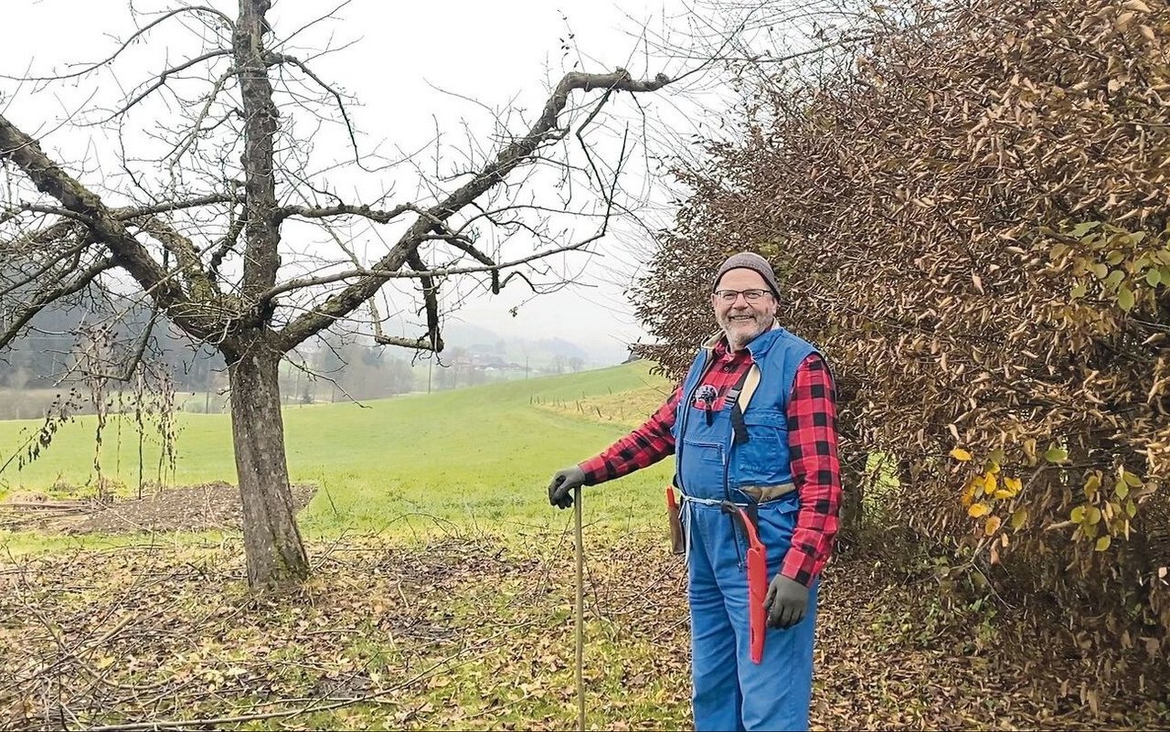 Paul Aeschimann vor einem fertig geschnittenen Apfelbaum der Sorte Boskoop. Auf seinem Betrieb stehen etwa 100 Hochstämmer, vor allem Apfelbäume.