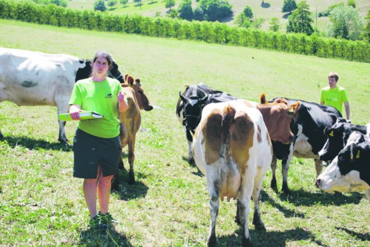 Silvia und Adrian Stohler aus Olsberg BL züchten auf ihrem Betrieb grösstenteils und erfolgreich Neuseeländische Holsteinkühe. 