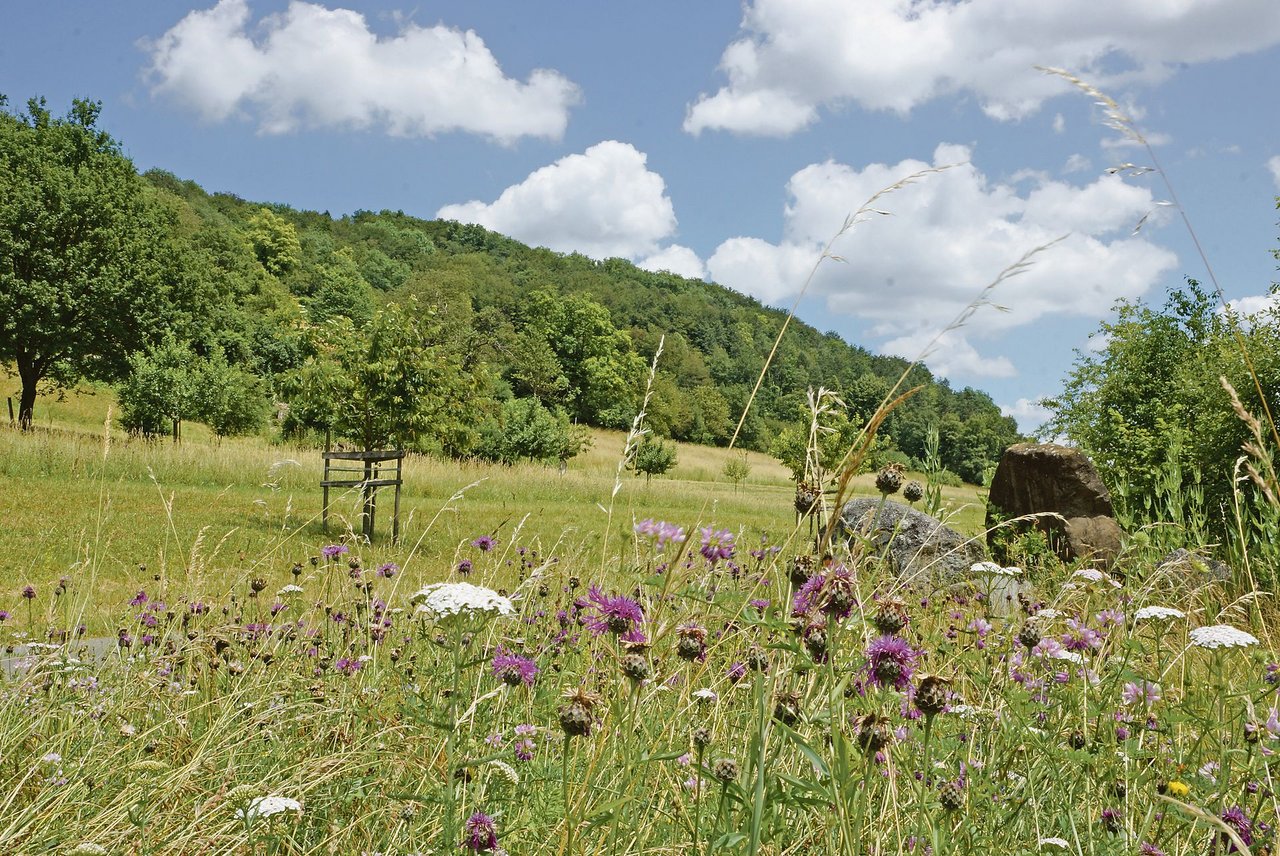 Am Anfang des Ressourcenprogramms des Bundesamts für Landwirtschaft standen Ammoniak-projekte im Vordergrund. Zunehmend richtet sich der Fokus auf die Biodiversität. (Bild Ruth Aerni)