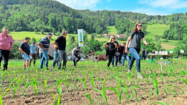 Begehung der Mais-Ve Begehung der Mais-Versuchsparzelle am Stähler-Tag in Bachs. Gezeigt wurden verschiedene Herbizidverfahren sowie ein stickstoff- und phosphorreicher Mikrogranulatdünger mit Zink und Huminsäuren.