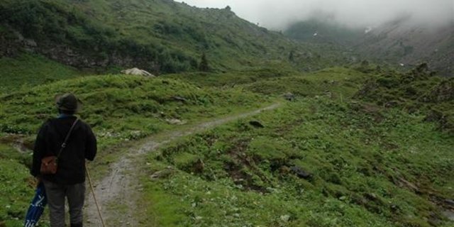 Dauerregen statt Postkartenwetter: Der Alpsommer 2014 war eher eine frustrierende Angelegenheit. (Bild: BauZ)