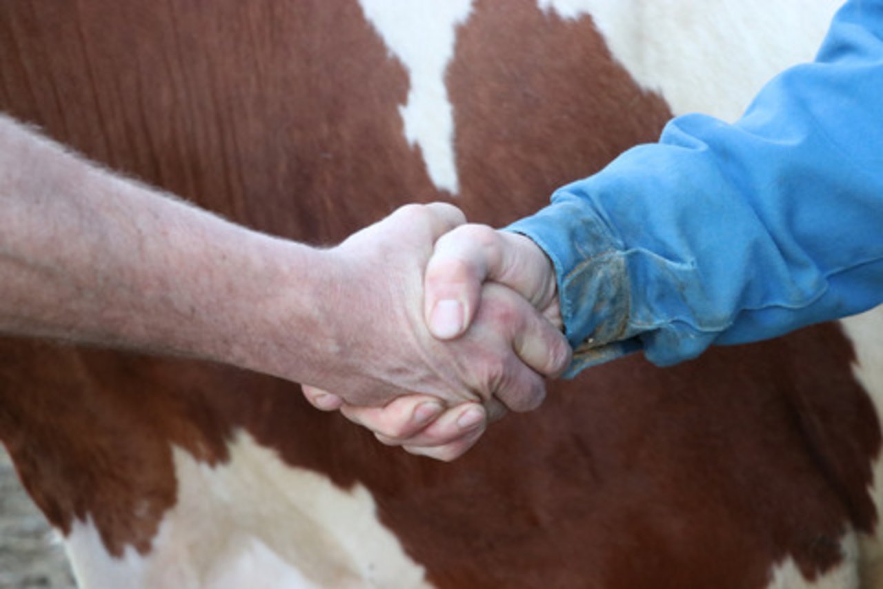 Ein Handschlag, nicht nur zur Begrüssung, sondern auch zur Besiegelung eines Geschäfts, war gang und gäbe. Dass dies nun wegen Corona vermieden werden soll, bedauern nicht alle. (Bild Archiv BauZ)