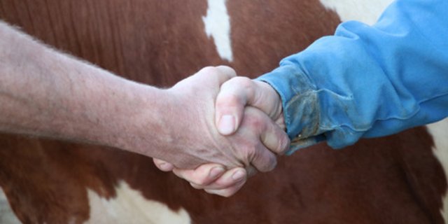 Ein Handschlag, nicht nur zur Begrüssung, sondern auch zur Besiegelung eines Geschäfts, war gang und gäbe. Dass dies nun wegen Corona vermieden werden soll, bedauern nicht alle. (Bild Archiv BauZ)